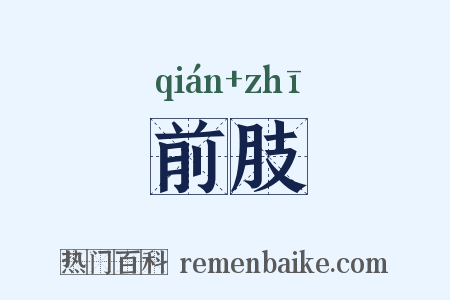前肢是什么意思的图片